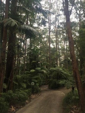 Springbrook Mountain Chalets